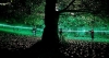 Une nuit verte cosmique pour panOramas